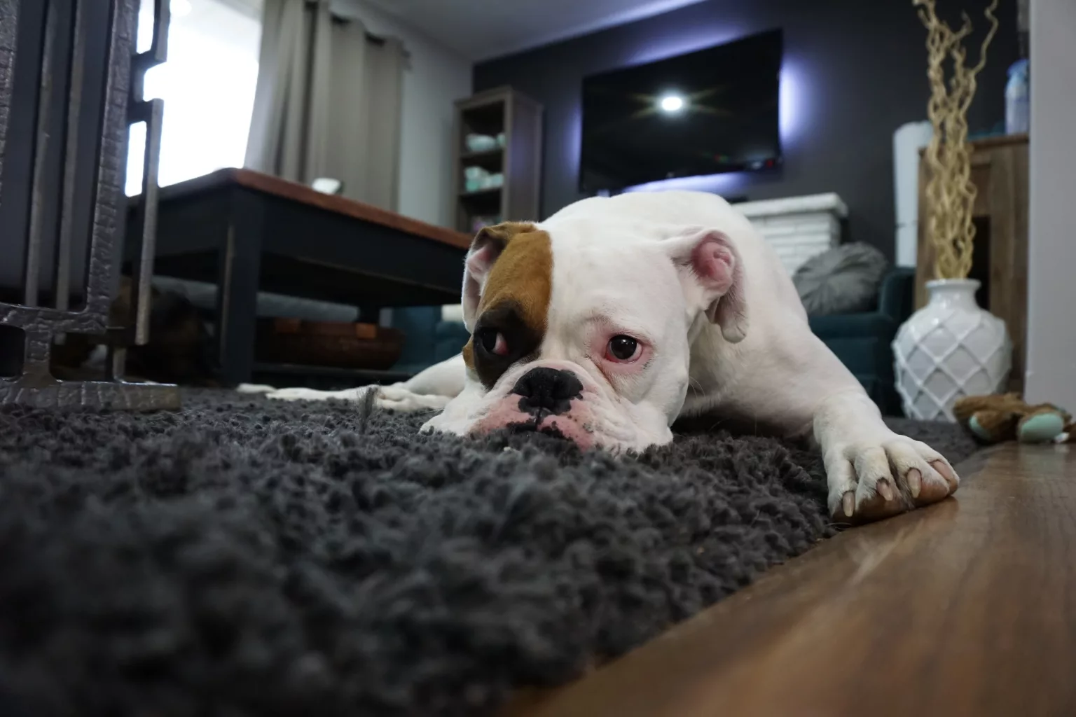 How often should you vacuum if you have children or pets?