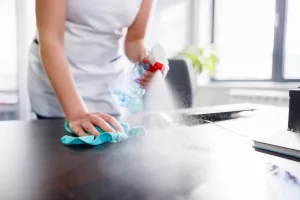 6 Natural Cleaning Solutions to Clean Your Entire House on a Budget